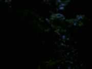 Filename=extant_StarTrek_VOY_7x22-NaturalLaw_1530.jpg
Filesize=48KiB
Dimensions=1200x900
Date added=Jan 16, 2020 extant_StarTrek_VOY_7x22-NaturalLaw_1530.jpg