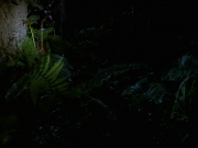 extant_StarTrek_VOY_7x22-NaturalLaw_1560.jpg