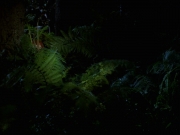 extant_StarTrek_VOY_7x22-NaturalLaw_1561.jpg