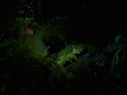 Filename=extant_StarTrek_VOY_7x22-NaturalLaw_1562.jpg
Filesize=119KiB
Dimensions=1200x900
Date added=Jan 16, 2020 extant_StarTrek_VOY_7x22-NaturalLaw_1562.jpg