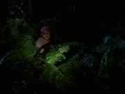 extant_StarTrek_VOY_7x22-NaturalLaw_1564.jpg
