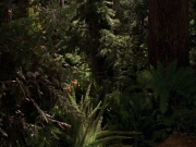 extant_StarTrek_VOY_7x22-NaturalLaw_1903.jpg