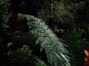 extant_StarTrek_VOY_7x22-NaturalLaw_1906.jpg