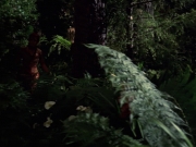 extant_StarTrek_VOY_7x22-NaturalLaw_1907.jpg