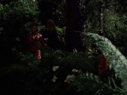 extant_StarTrek_VOY_7x22-NaturalLaw_1908.jpg