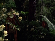Filename=extant_StarTrek_VOY_7x22-NaturalLaw_1912.jpg
Filesize=200KiB
Dimensions=1200x900
Date added=Jan 16, 2020 extant_StarTrek_VOY_7x22-NaturalLaw_1912.jpg