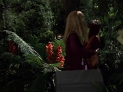 extant_StarTrek_VOY_7x22-NaturalLaw_1942.jpg