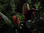 extant_StarTrek_VOY_7x22-NaturalLaw_1943.jpg