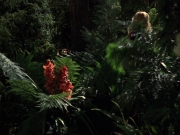 extant_StarTrek_VOY_7x22-NaturalLaw_1945.jpg