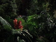extant_StarTrek_VOY_7x22-NaturalLaw_1946.jpg