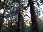 extant_StarTrek_VOY_7x22-NaturalLaw_2115.jpg