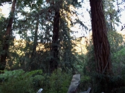 extant_StarTrek_VOY_7x22-NaturalLaw_2116.jpg