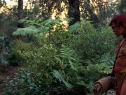extant_StarTrek_VOY_7x22-NaturalLaw_2152.jpg