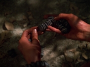 extant_StarTrek_VOY_7x22-NaturalLaw_2445.jpg