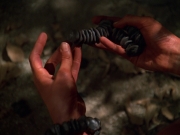 extant_StarTrek_VOY_7x22-NaturalLaw_2447.jpg