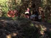 Filename=extant_StarTrek_VOY_7x22-NaturalLaw_2675.jpg
Filesize=280KiB
Dimensions=1200x900
Date added=Jan 16, 2020 extant_StarTrek_VOY_7x22-NaturalLaw_2675.jpg