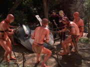 Filename=extant_StarTrek_VOY_7x22-NaturalLaw_2681.jpg
Filesize=251KiB
Dimensions=1200x900
Date added=Jan 16, 2020 extant_StarTrek_VOY_7x22-NaturalLaw_2681.jpg