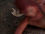 Filename=extant_StarTrek_VOY_7x22-NaturalLaw_2846.jpg
Filesize=169KiB
Dimensions=1200x900
Date added=Jan 16, 2020 extant_StarTrek_VOY_7x22-NaturalLaw_2846.jpg