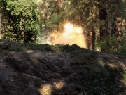 extant_StarTrek_VOY_7x22-NaturalLaw_3460.jpg