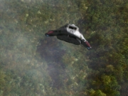 Filename=extant_StarTrek_VOY_7x22-NaturalLaw_3468.jpg
Filesize=185KiB
Dimensions=1200x900
Date added=Jan 16, 2020 extant_StarTrek_VOY_7x22-NaturalLaw_3468.jpg