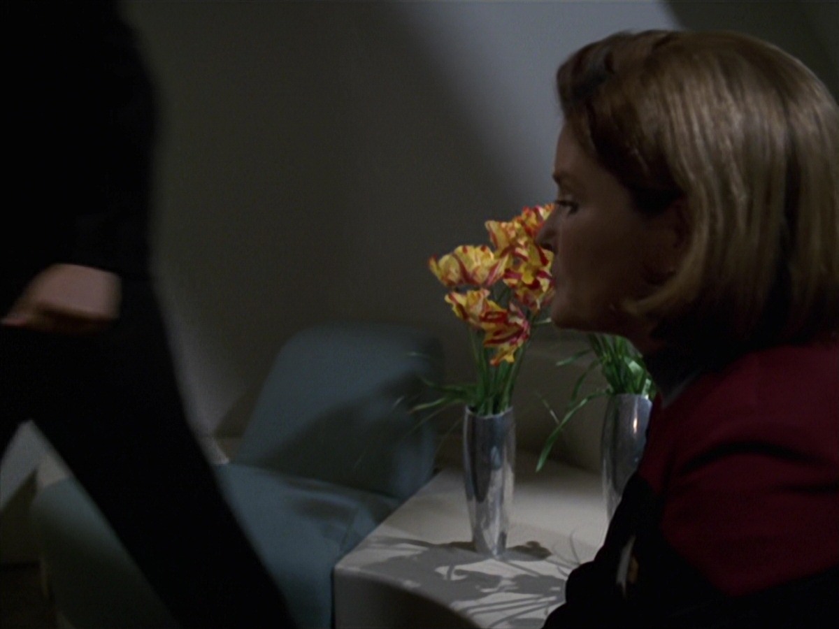extant_StarTrek_VOY_7x24-RenaissanceMan_0659.jpg