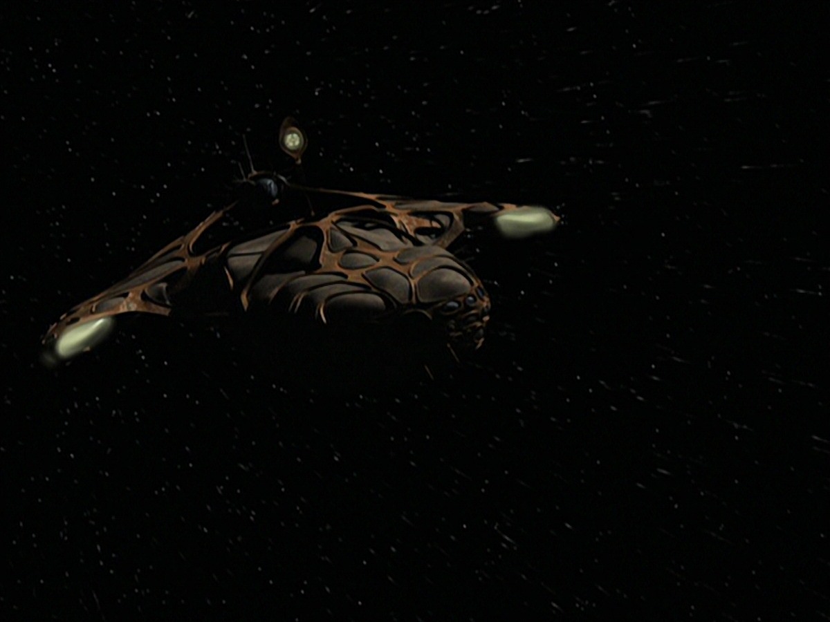 extant_StarTrek_VOY_7x24-RenaissanceMan_2456.jpg