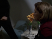 Filename=extant_StarTrek_VOY_7x24-RenaissanceMan_0659.jpg
Filesize=116KiB
Dimensions=1200x900
Date added=Jan 16, 2020 extant_StarTrek_VOY_7x24-RenaissanceMan_0659.jpg