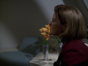 Filename=extant_StarTrek_VOY_7x24-RenaissanceMan_0663.jpg
Filesize=126KiB
Dimensions=1200x900
Date added=Jan 16, 2020 extant_StarTrek_VOY_7x24-RenaissanceMan_0663.jpg