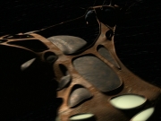 extant_StarTrek_VOY_7x24-RenaissanceMan_2939.jpg
