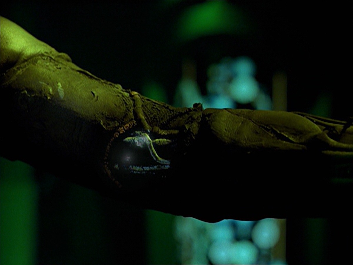 extant_StarTrek_VOY_7x25_7x26-Endgame_6794.jpg