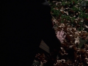 extant_StarTrek_VOY_7x25_7x26-Endgame_1205.jpg