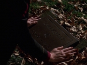 Filename=extant_StarTrek_VOY_7x25_7x26-Endgame_1214.jpg
Filesize=156KiB
Dimensions=1200x900
Date added=Jan 16, 2020 extant_StarTrek_VOY_7x25_7x26-Endgame_1214.jpg