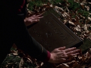 Filename=extant_StarTrek_VOY_7x25_7x26-Endgame_1215.jpg
Filesize=164KiB
Dimensions=1200x900
Date added=Jan 16, 2020 extant_StarTrek_VOY_7x25_7x26-Endgame_1215.jpg