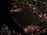 Filename=extant_StarTrek_VOY_7x25_7x26-Endgame_1216.jpg
Filesize=166KiB
Dimensions=1200x900
Date added=Jan 16, 2020 extant_StarTrek_VOY_7x25_7x26-Endgame_1216.jpg