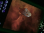 Filename=extant_StarTrek_VOY_7x25_7x26-Endgame_2477.jpg
Filesize=110KiB
Dimensions=1200x900
Date added=Jan 16, 2020 extant_StarTrek_VOY_7x25_7x26-Endgame_2477.jpg