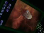 Filename=extant_StarTrek_VOY_7x25_7x26-Endgame_2478.jpg
Filesize=114KiB
Dimensions=1200x900
Date added=Jan 16, 2020 extant_StarTrek_VOY_7x25_7x26-Endgame_2478.jpg