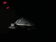 Filename=extant_StarTrek_VOY_7x25_7x26-Endgame_3018.jpg
Filesize=84KiB
Dimensions=1200x900
Date added=Jan 16, 2020 extant_StarTrek_VOY_7x25_7x26-Endgame_3018.jpg