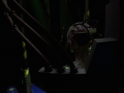 Filename=extant_StarTrek_VOY_7x25_7x26-Endgame_6270.jpg
Filesize=81KiB
Dimensions=1200x900
Date added=Jan 16, 2020 extant_StarTrek_VOY_7x25_7x26-Endgame_6270.jpg