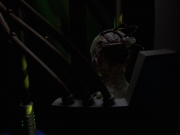 Filename=extant_StarTrek_VOY_7x25_7x26-Endgame_6271.jpg
Filesize=67KiB
Dimensions=1200x900
Date added=Jan 16, 2020 extant_StarTrek_VOY_7x25_7x26-Endgame_6271.jpg