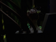 Filename=extant_StarTrek_VOY_7x25_7x26-Endgame_6272.jpg
Filesize=68KiB
Dimensions=1200x900
Date added=Jan 16, 2020 extant_StarTrek_VOY_7x25_7x26-Endgame_6272.jpg