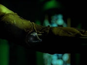 Filename=extant_StarTrek_VOY_7x25_7x26-Endgame_6794.jpg
Filesize=113KiB
Dimensions=1200x900
Date added=Jan 16, 2020 extant_StarTrek_VOY_7x25_7x26-Endgame_6794.jpg