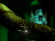 Filename=extant_StarTrek_VOY_7x25_7x26-Endgame_6795.jpg
Filesize=124KiB
Dimensions=1200x900
Date added=Jan 16, 2020 extant_StarTrek_VOY_7x25_7x26-Endgame_6795.jpg