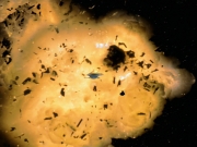 Filename=extant_StarTrek_VOY_7x25_7x26-Endgame_7098.jpg
Filesize=177KiB
Dimensions=1200x900
Date added=Jan 16, 2020 extant_StarTrek_VOY_7x25_7x26-Endgame_7098.jpg