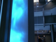 extant_StarTrek_VOY_5x02-Drone_02355.jpg