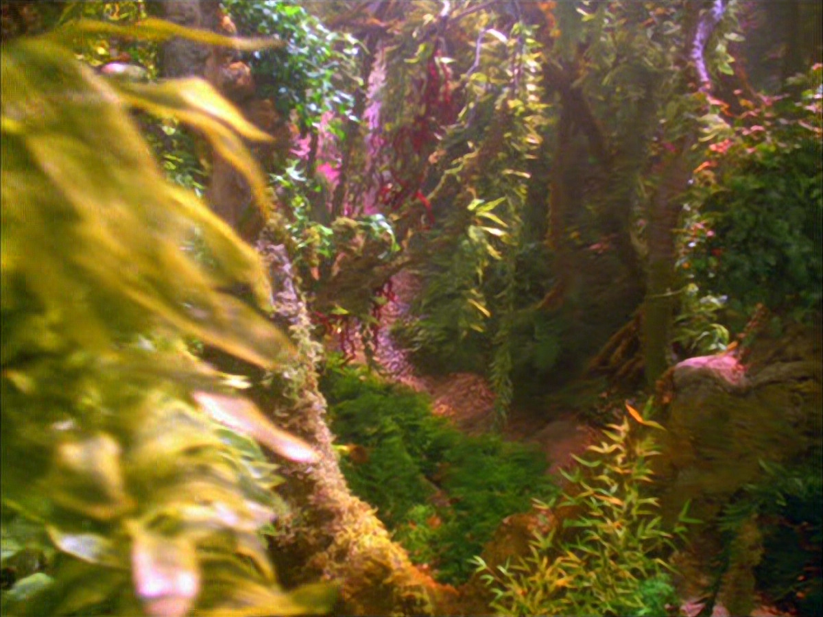 extant_StarTrek_VOY_5x05-OnceUponATime_00007.jpg