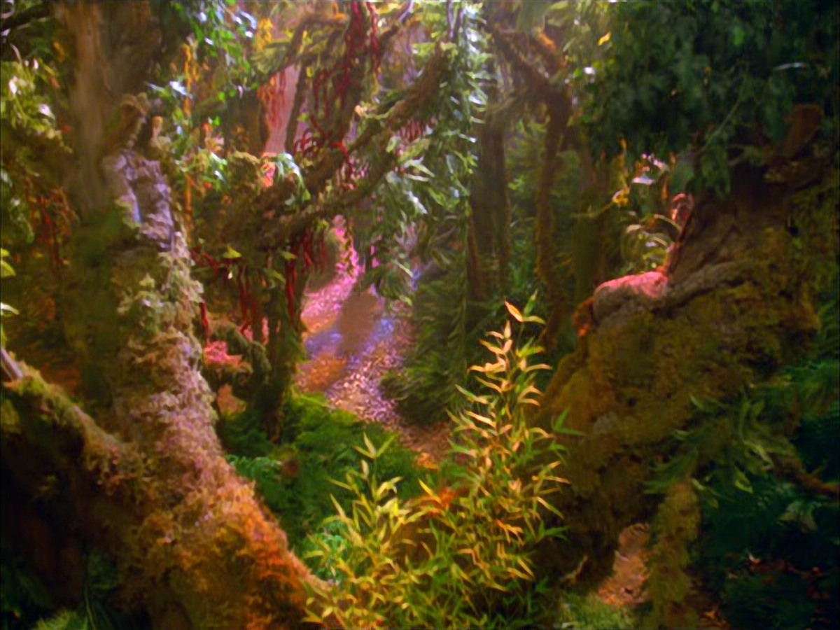 extant_StarTrek_VOY_5x05-OnceUponATime_00010.jpg