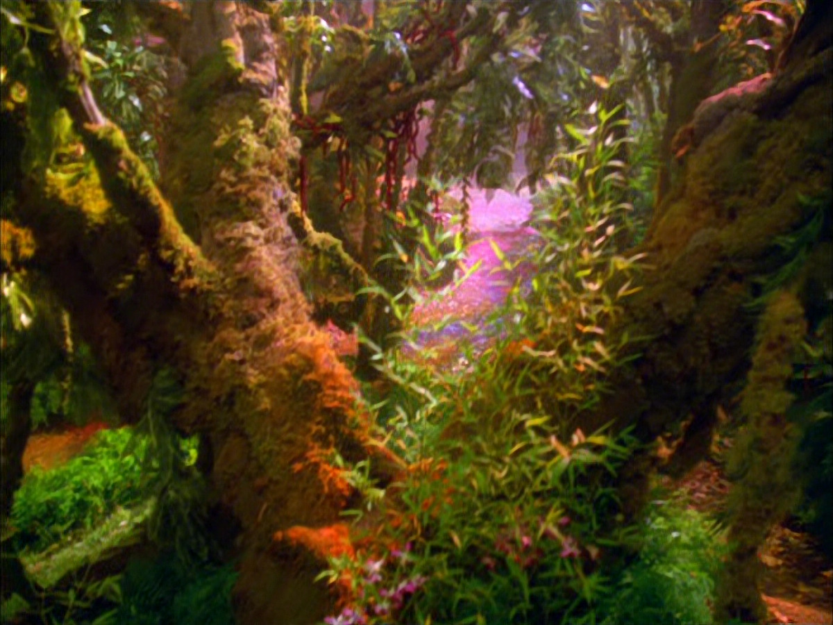 extant_StarTrek_VOY_5x05-OnceUponATime_00012.jpg