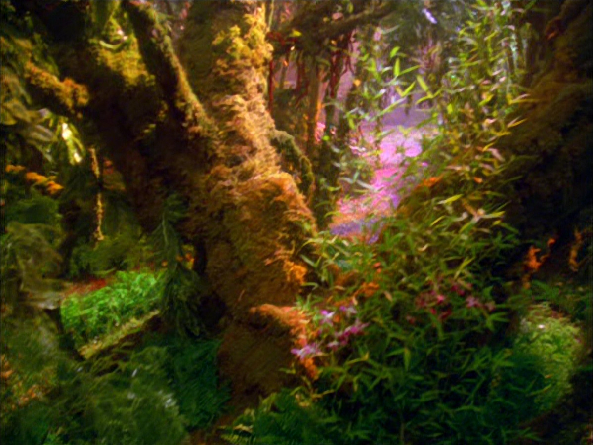 extant_StarTrek_VOY_5x05-OnceUponATime_00013.jpg
