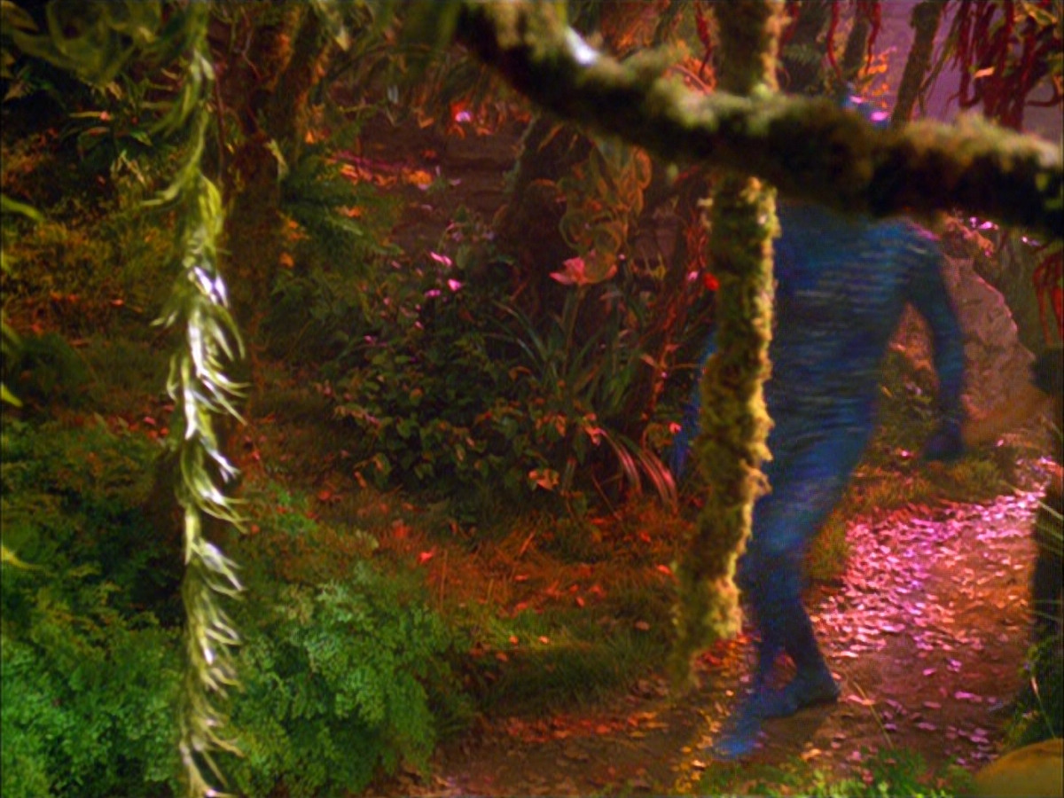extant_StarTrek_VOY_5x05-OnceUponATime_00102.jpg