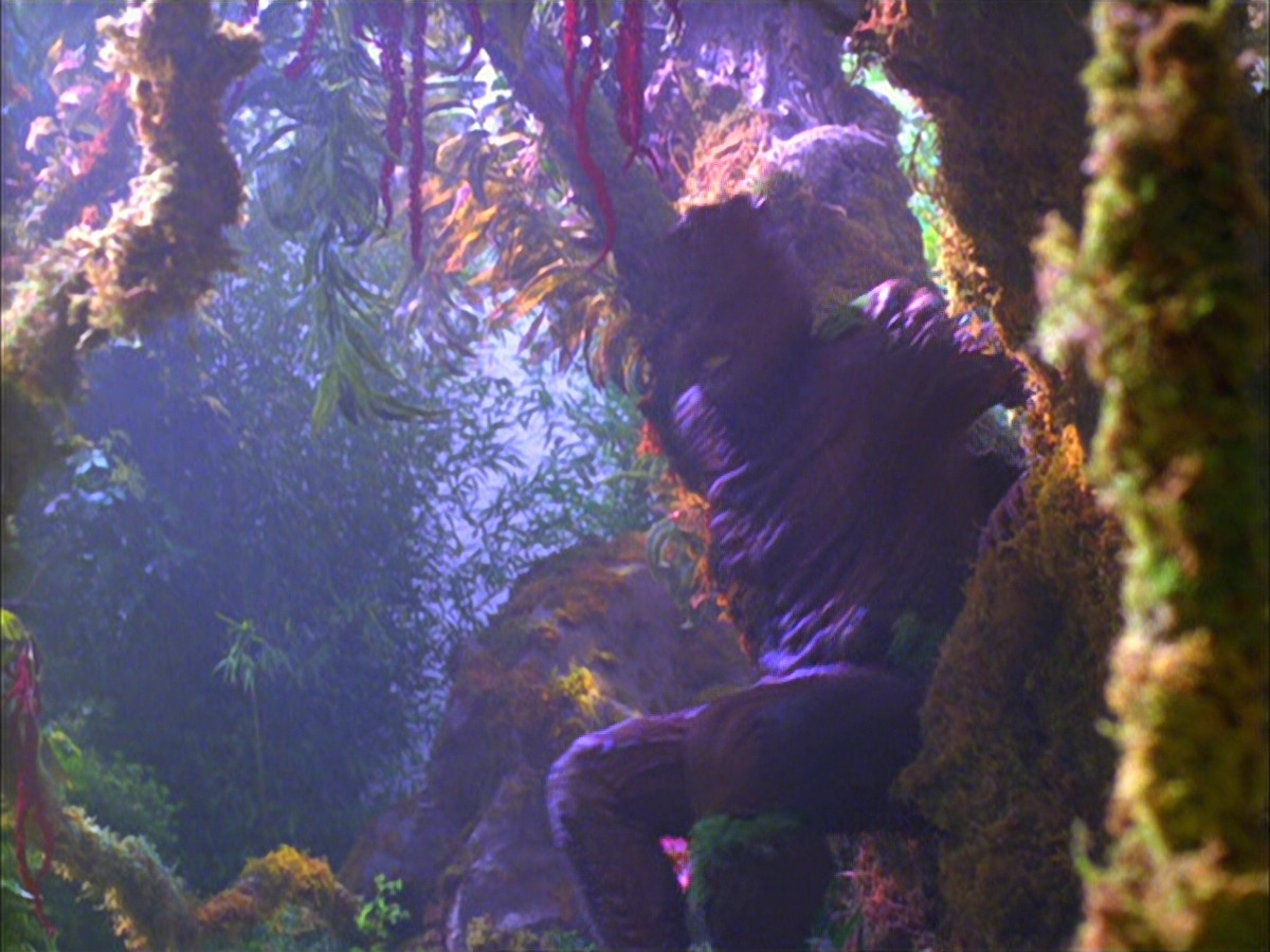extant_StarTrek_VOY_5x05-OnceUponATime_00193.jpg